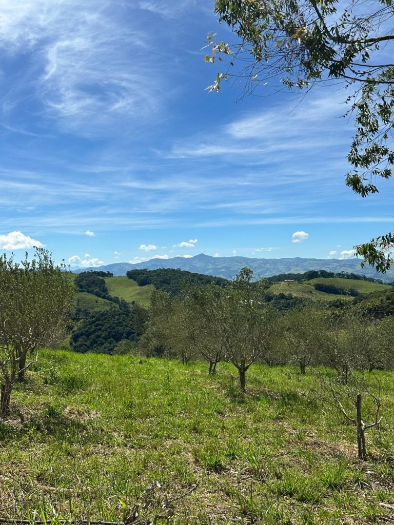 “Oportunidade Única: Terreno Rural de 44.000m² com Oliveiras e Vista de Cartão Postal para a Serra da Mantiqueira!”