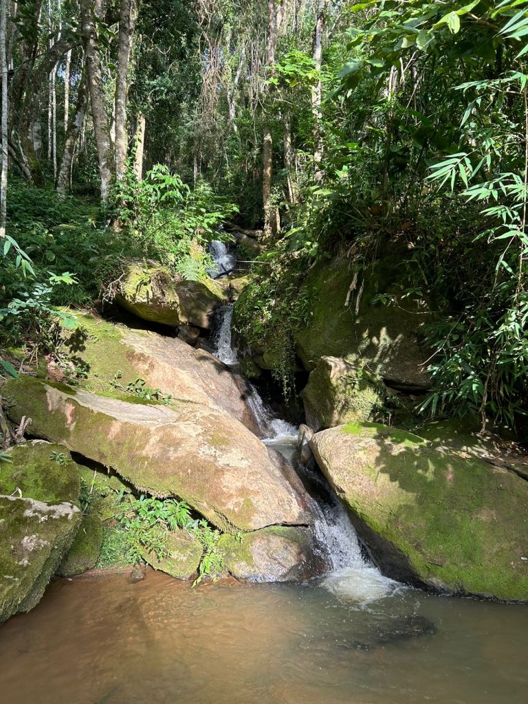 Descubra esta oportunidade única de adquirir uma propriedade rural com corredeira de cachoeira em Córrego do Bom Jesus, Sul de Minas. Com 7.000m² de extensão e topografia em aclive, este terreno oferece um ambiente natural exuberante, ideal para quem busca um refúgio dos sonhos. Agende uma visita hoje mesmo e comece a transformar seus planos em realidade.