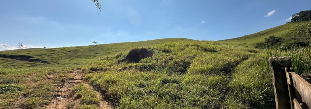 130-000-m²-terreno-rural-sem-benfeitorias-na-cidade-de-corrego-do-bom-jesus-mg (3)