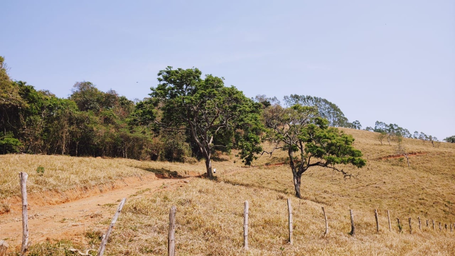 Alto Das Montanhas Terreno Rural de 20.000 m² Em Cambuí, MG (20)