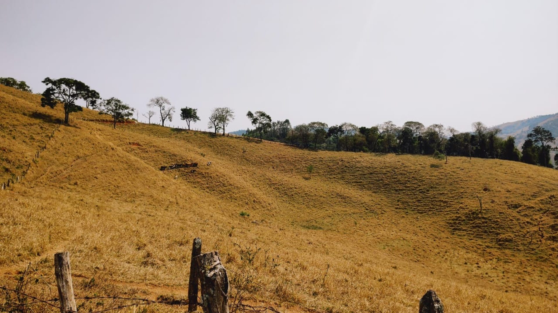 Alto Das Montanhas Terreno Rural de 20.000 m² Em Cambuí, MG (23)