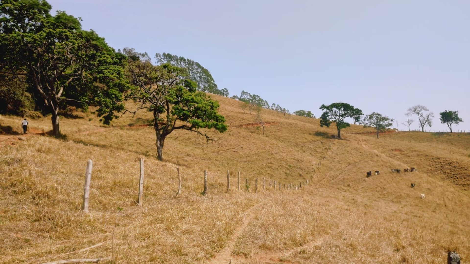 Alto Das Montanhas Terreno Rural de 20.000 m² Em Cambuí, MG (25)