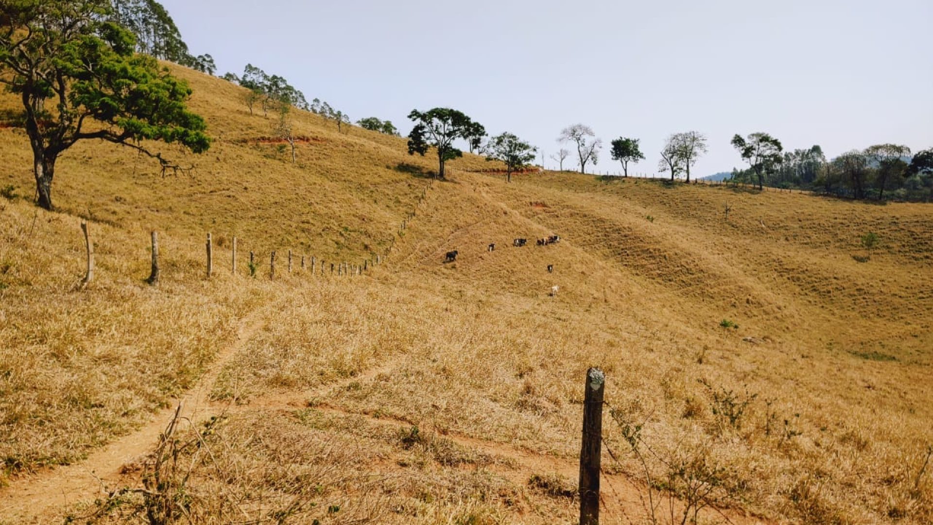 Alto Das Montanhas Terreno Rural de 20.000 m² Em Cambuí, MG (26)