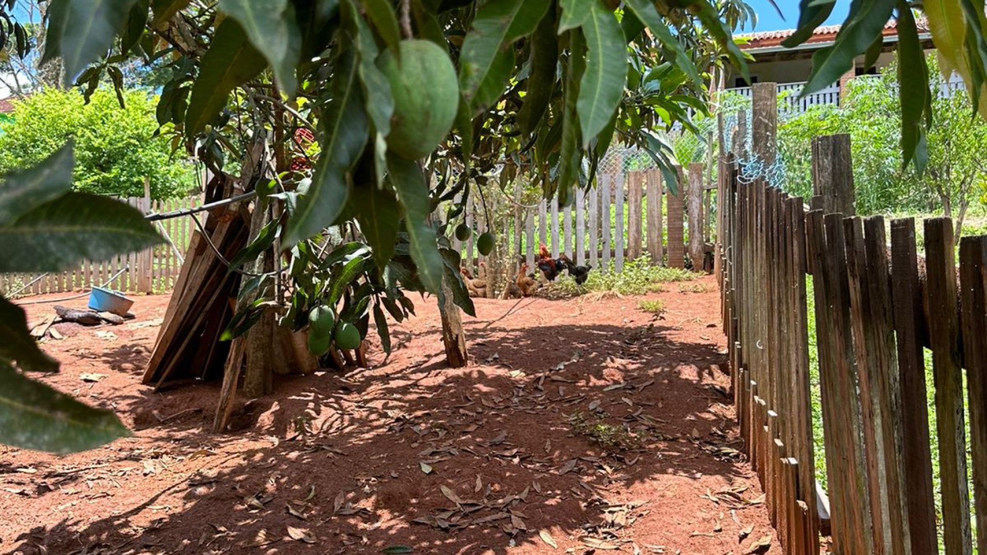 CHACARA A VENDA NA CIDADE DE ESTIVA NO SUL DE MINAS, CHACARA A VENDA, SILVA CORRETOR (25)