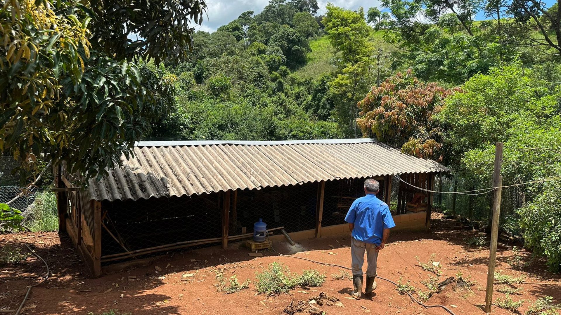 CHACARA A VENDA NA CIDADE DE ESTIVA NO SUL DE MINAS, CHACARA A VENDA, SILVA CORRETOR (29)