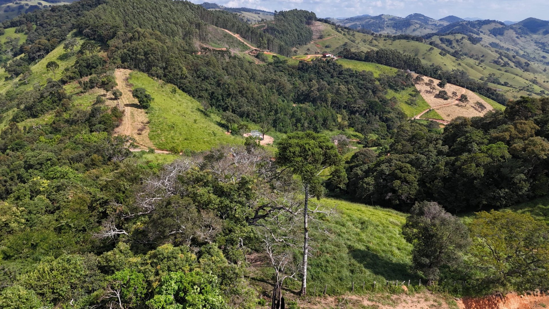 Córrego do Bom Jesus no Sul de Minas Terreno Rural de 20.000m² A venda, SILVA CORRETOR, IMOBILIARIA, MINEIRA (1)