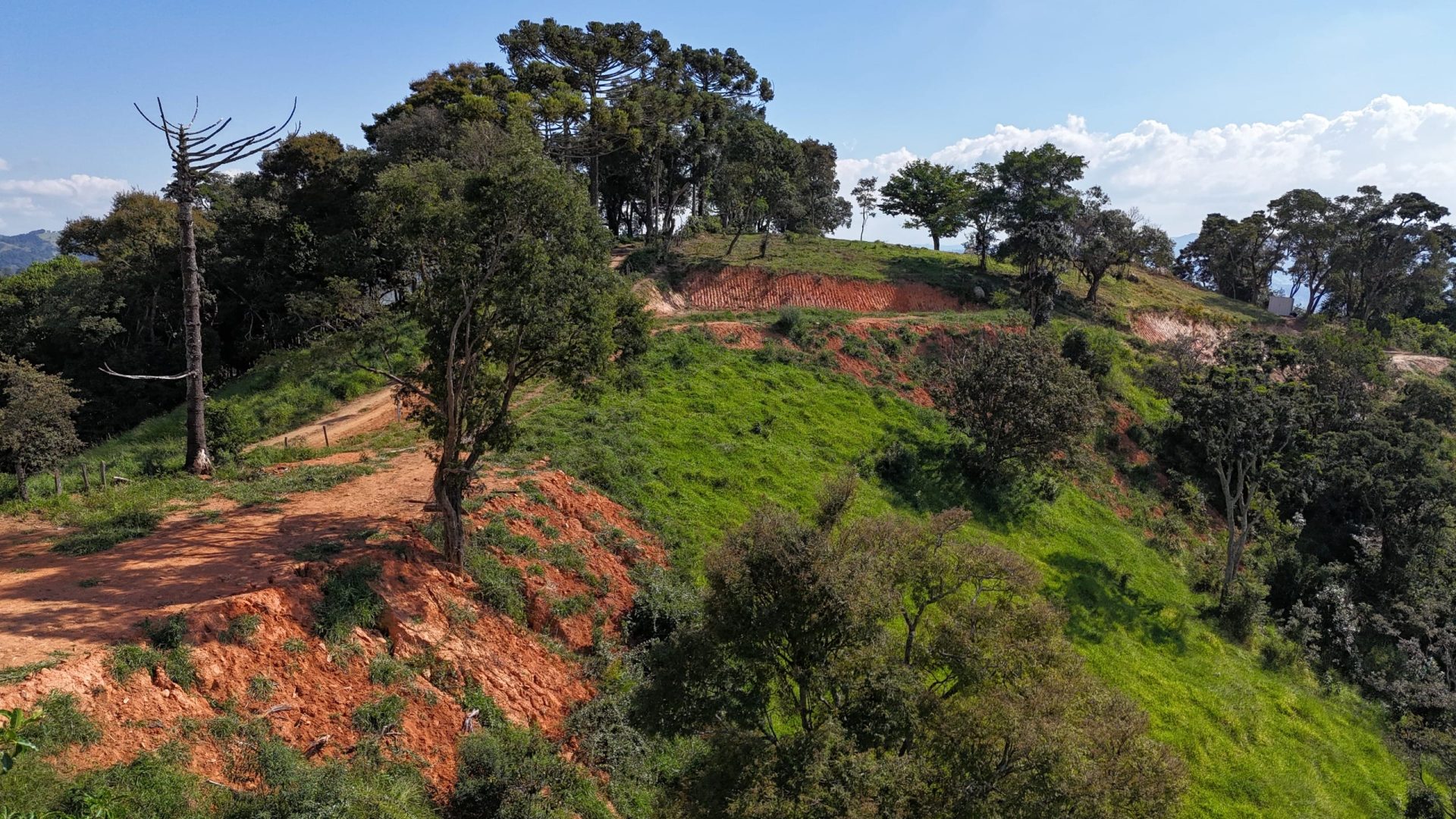 Córrego do Bom Jesus no Sul de Minas Terreno Rural de 20.000m² A venda, SILVA CORRETOR, IMOBILIARIA, MINEIRA (5)