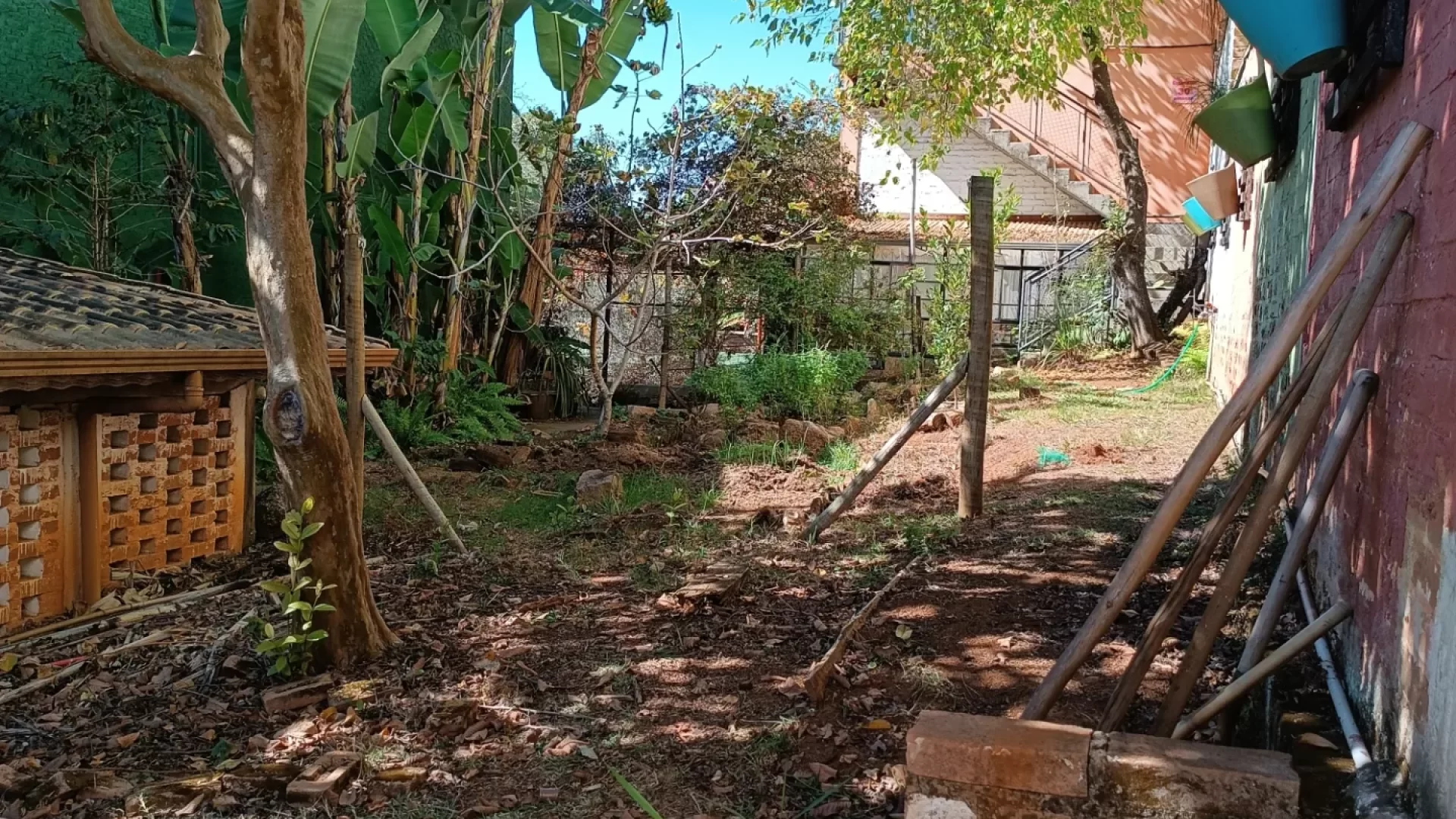 Lote Cambuí (14)