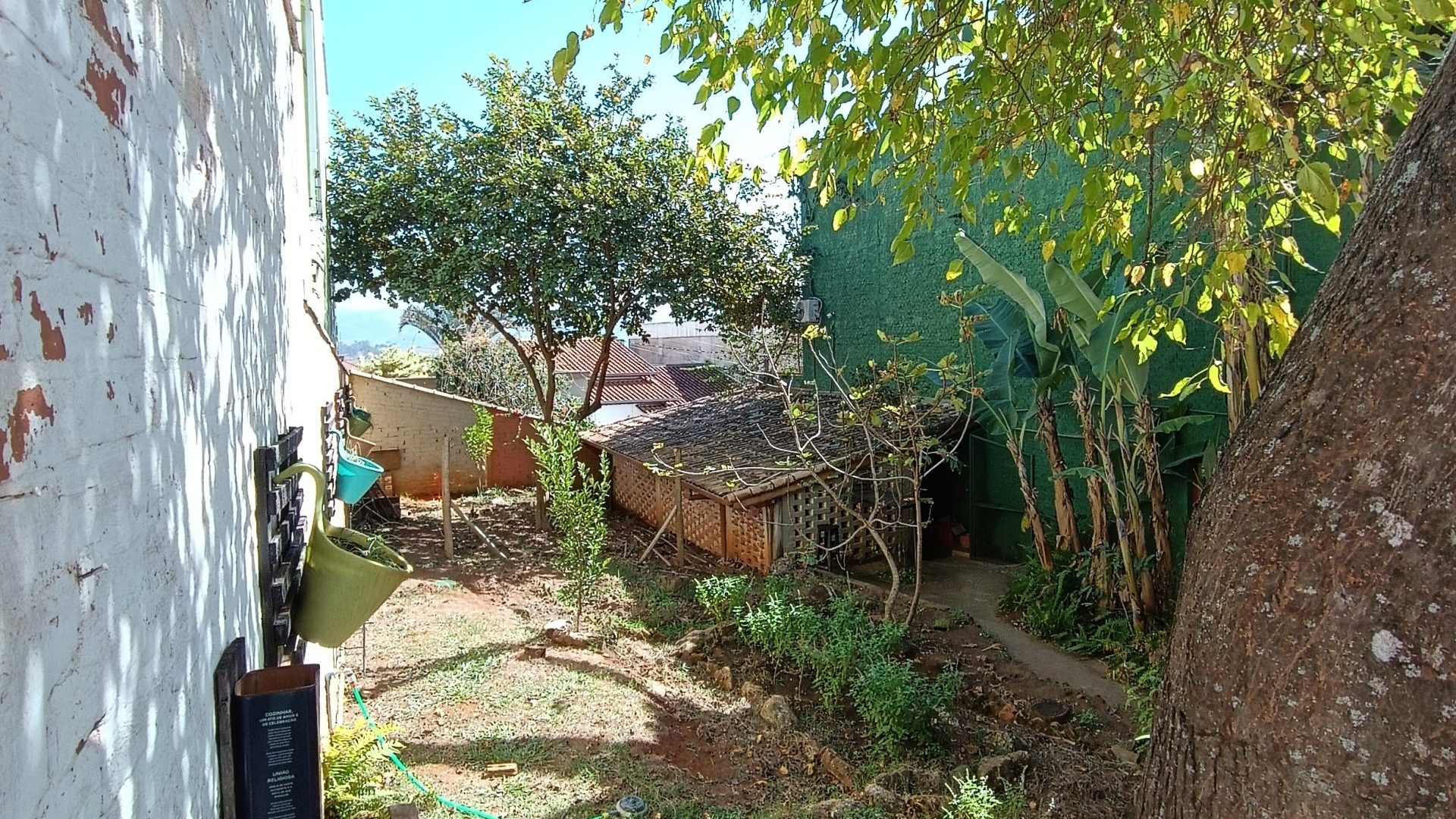 Lote Cambuí (7)