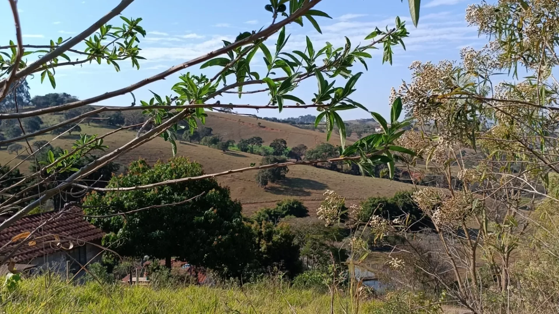 Lote em Cambuí (1)