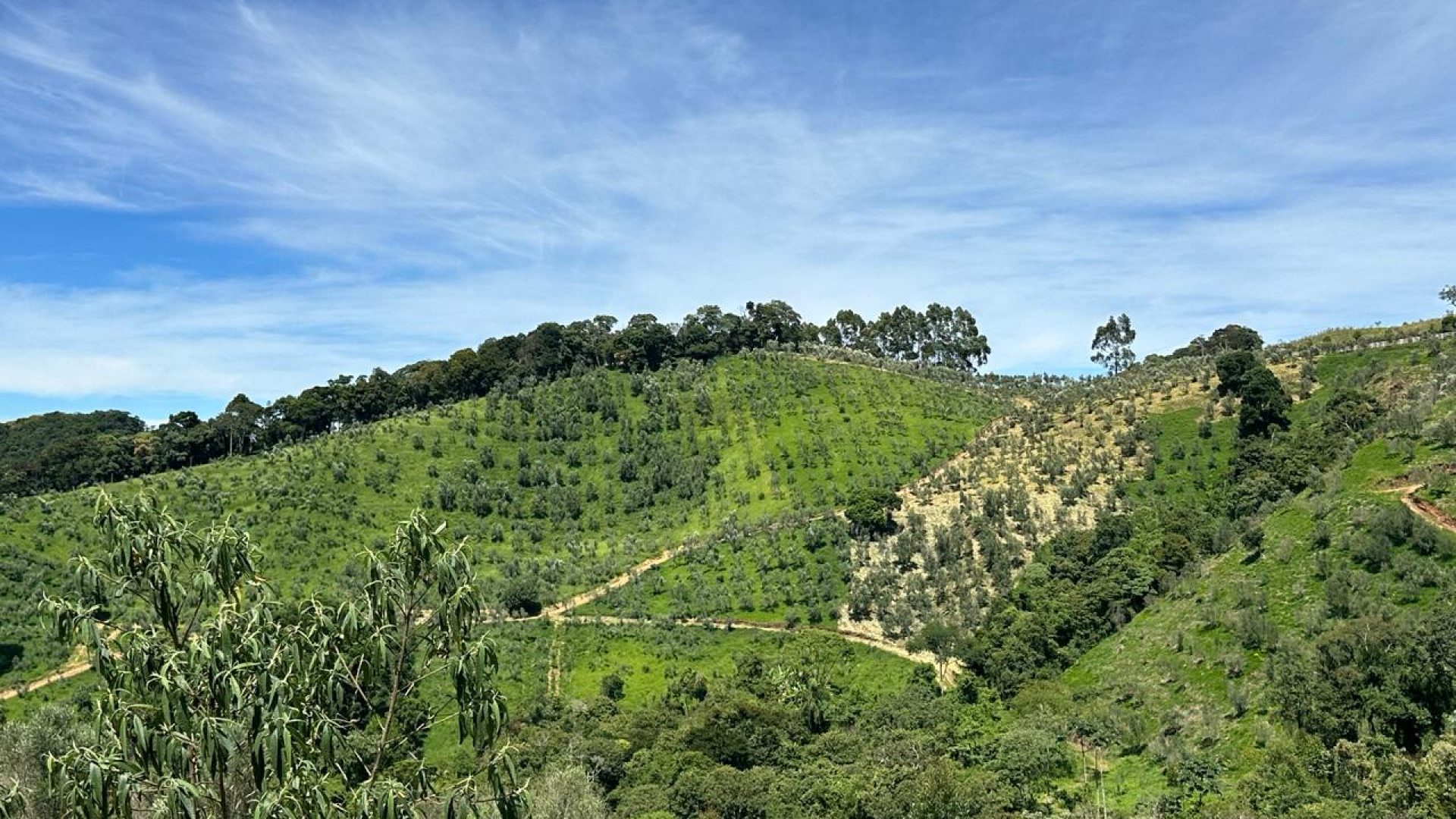 Ótimo Sítio de 190.000m² com Maravilhosa Vista Panorâmica para Serra da Mantiqueira em Cambuí - MG, silva corretor (41)