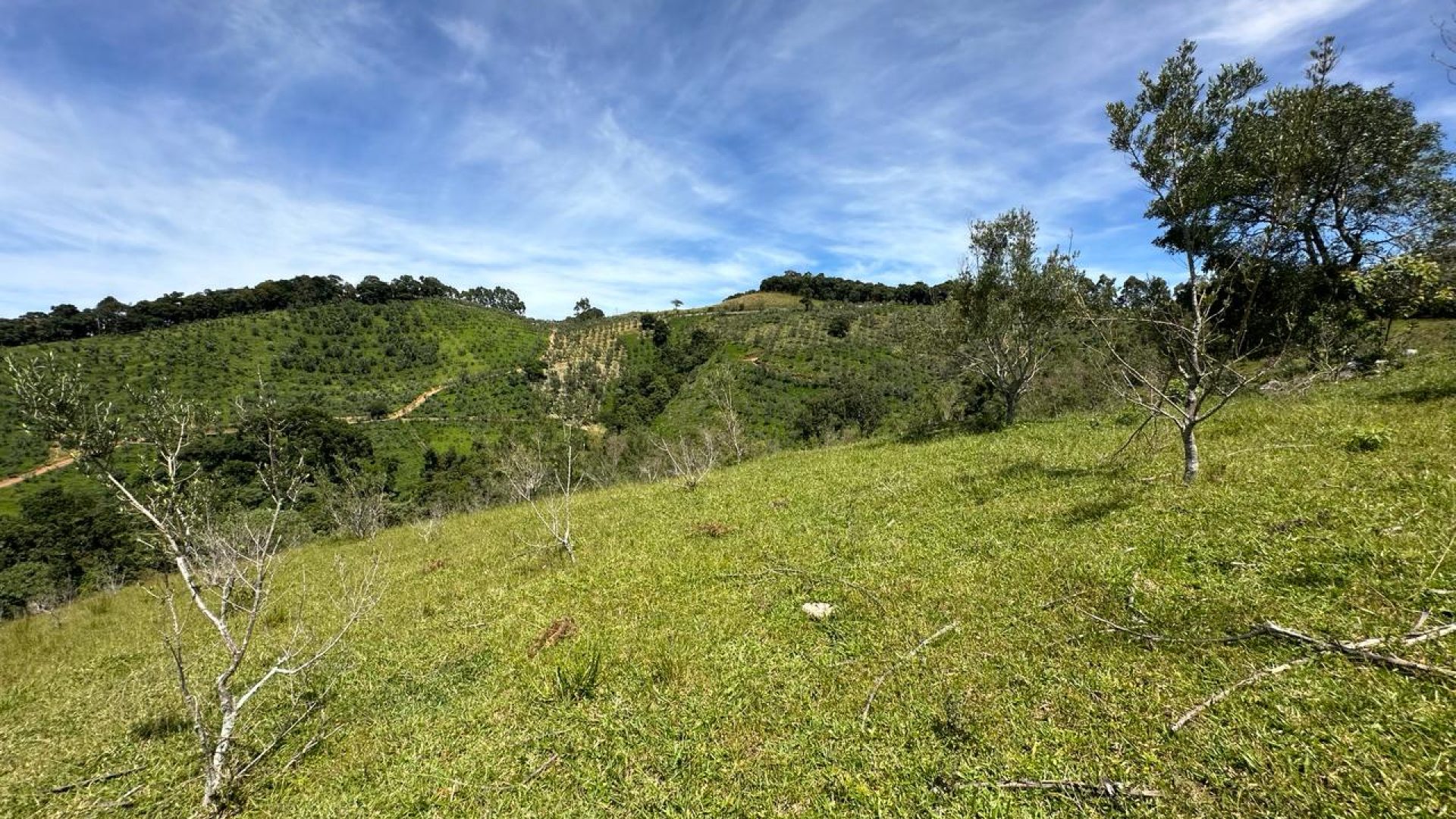 Ótimo Sítio de 190.000m² com Maravilhosa Vista Panorâmica para Serra da Mantiqueira em Cambuí - MG, silva corretor (56)