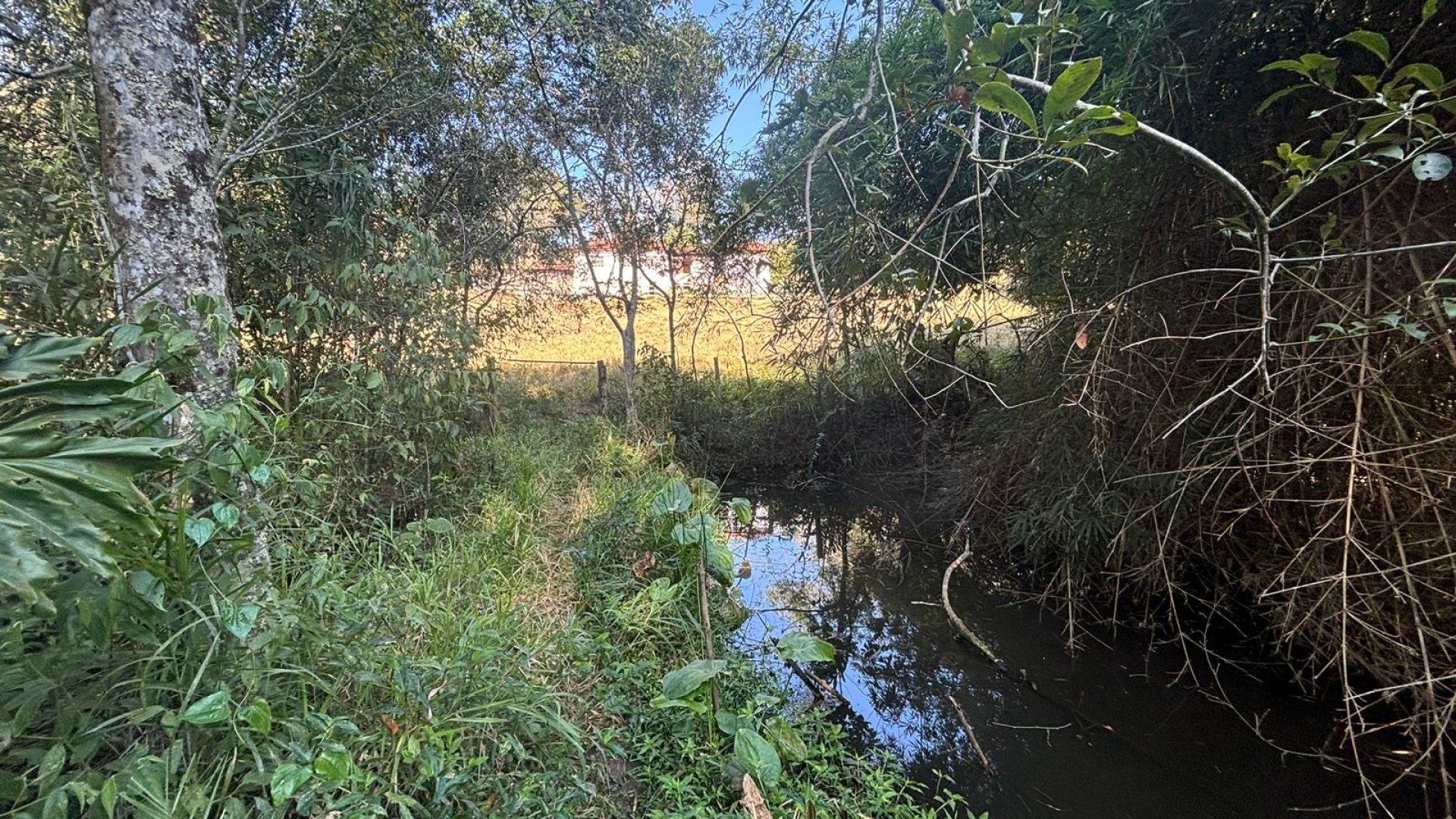 Propriedade Rural Para Sítio à Venda na região de Cambuí - Sul de Minas Gerais (11)