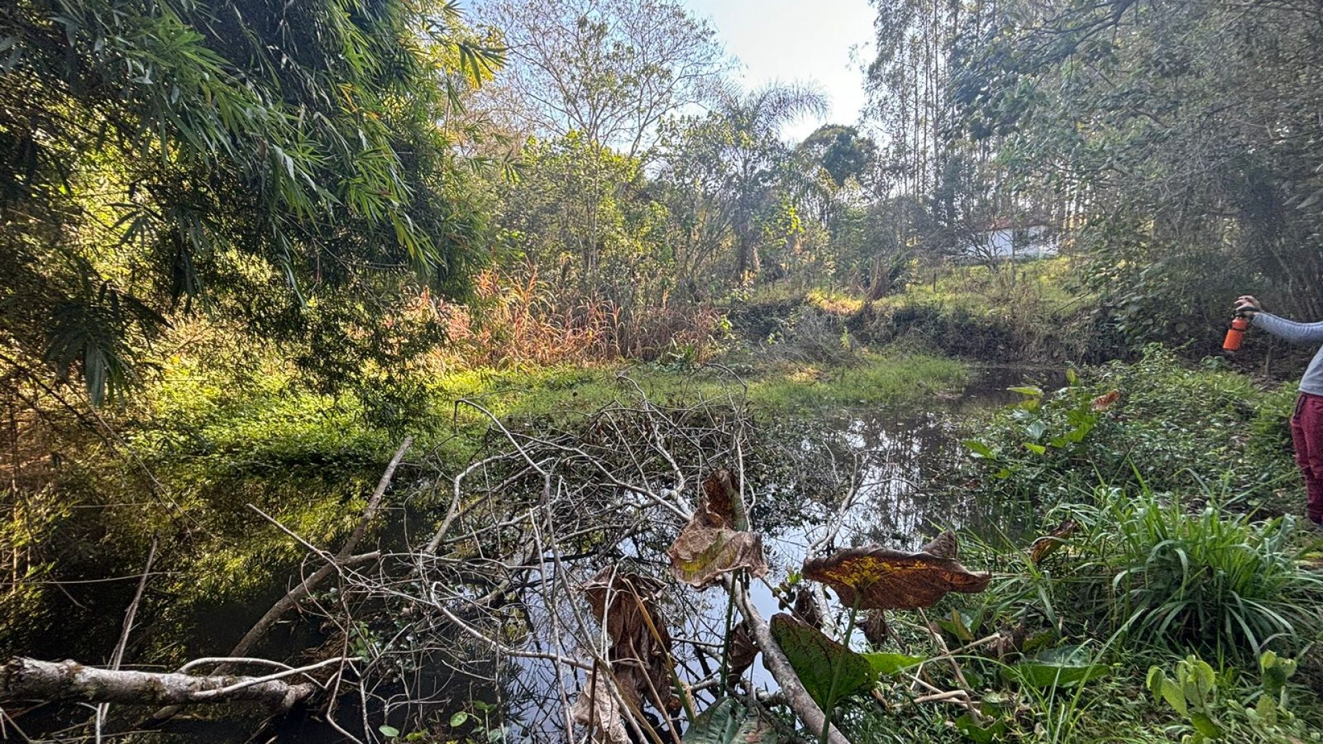 Propriedade Rural Para Sítio à Venda na região de Cambuí - Sul de Minas Gerais (13)