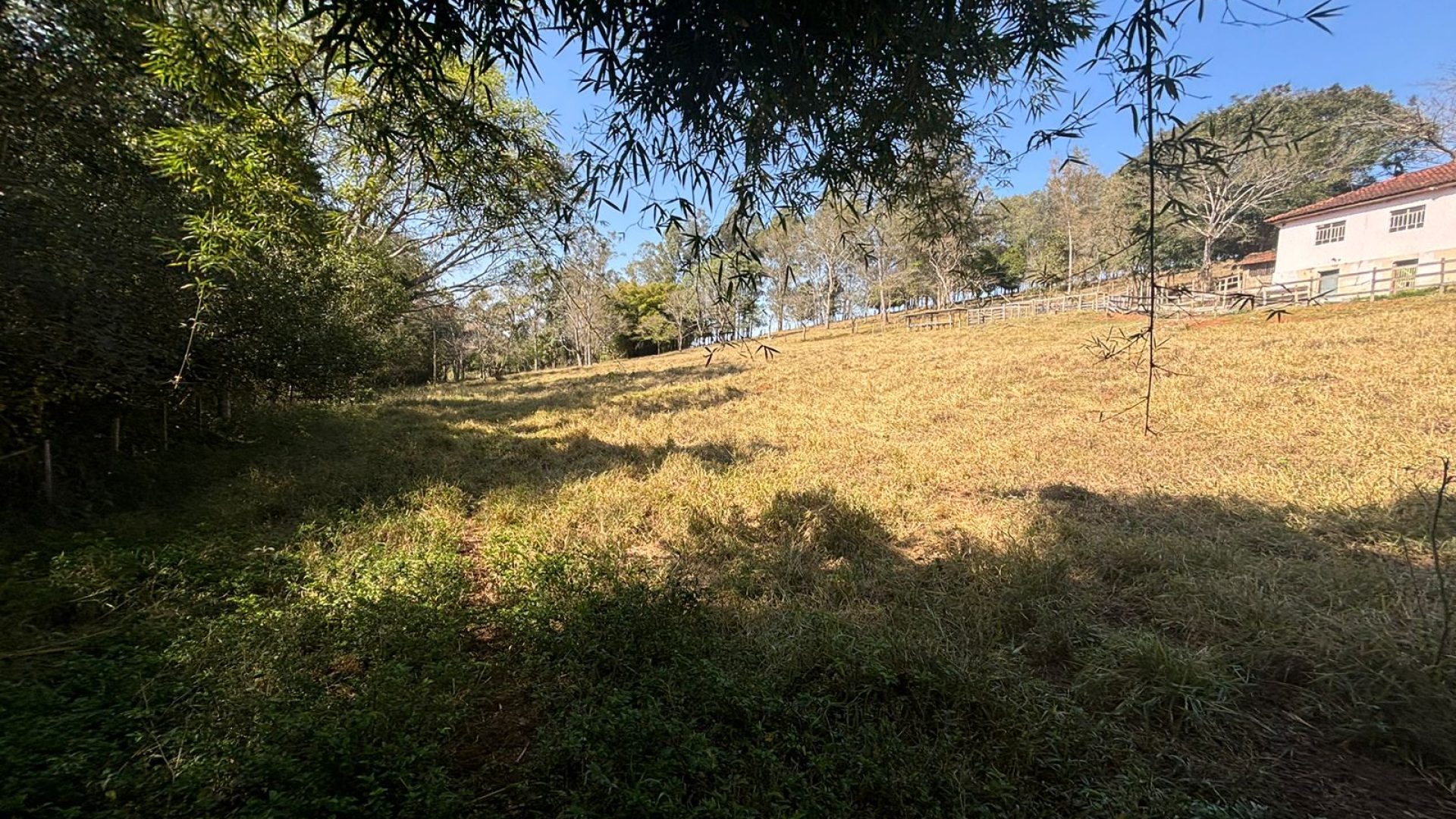 Propriedade Rural Para Sítio à Venda na região de Cambuí - Sul de Minas Gerais (14)