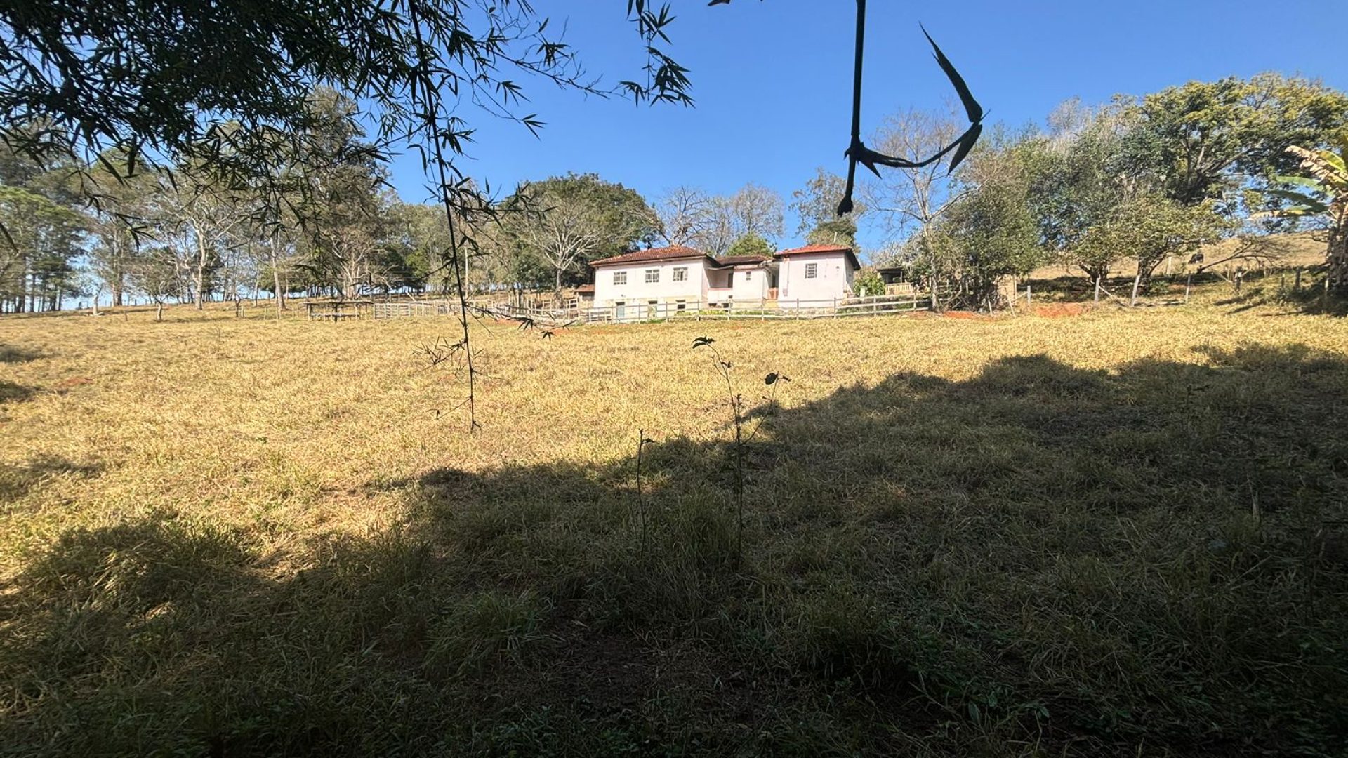 Propriedade Rural Para Sítio à Venda na região de Cambuí - Sul de Minas Gerais (17)