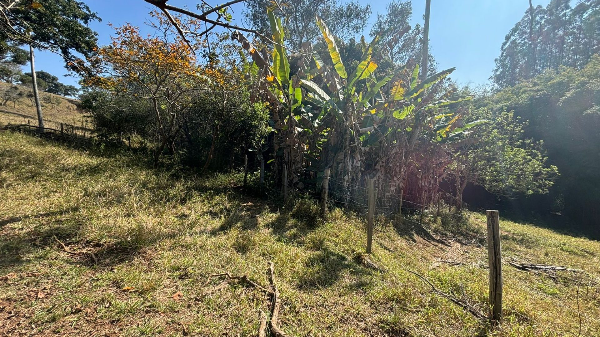 Propriedade Rural Para Sítio à Venda na região de Cambuí - Sul de Minas Gerais (21)