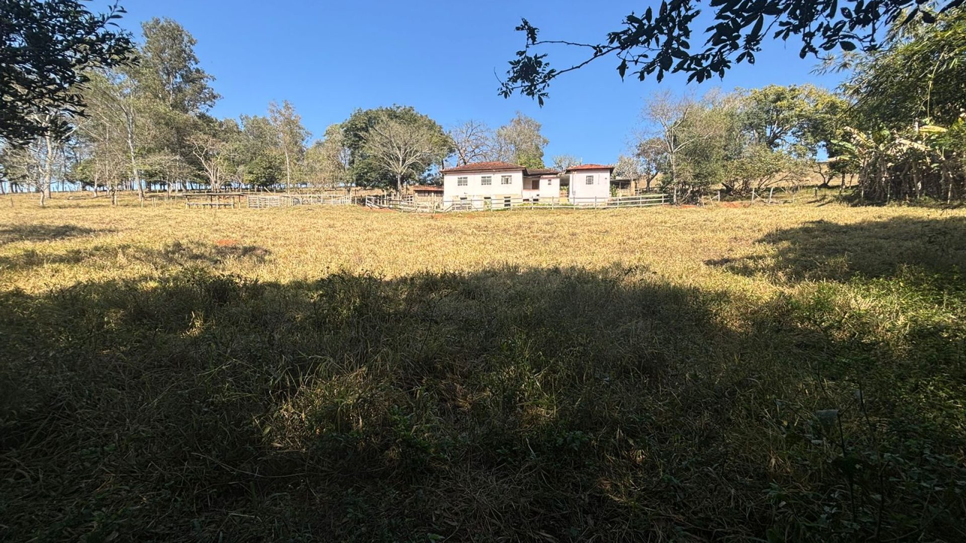 Propriedade Rural Para Sítio à Venda na região de Cambuí - Sul de Minas Gerais (7)