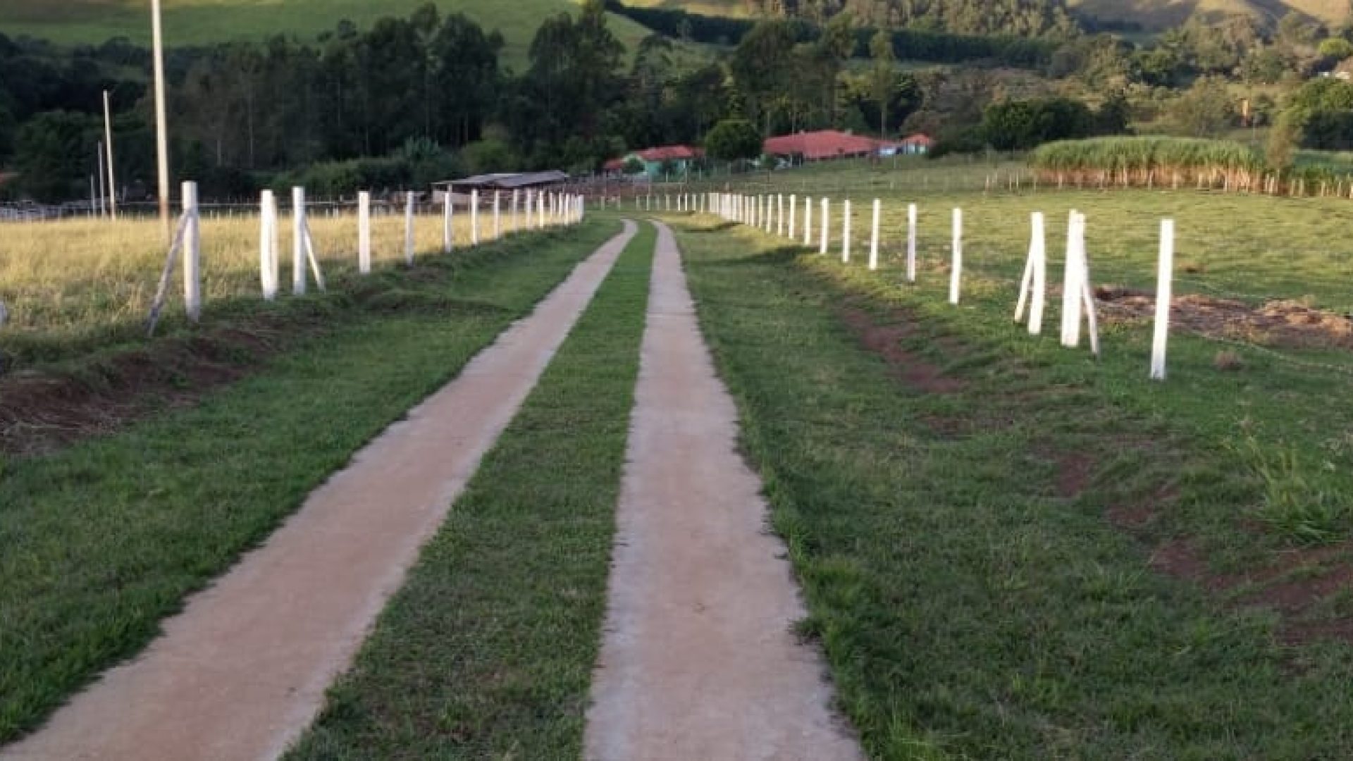 SITIO A VENDA DE 58.000 M2 A VENDA EM CAMBUI NO SUL DE MINAS (15)