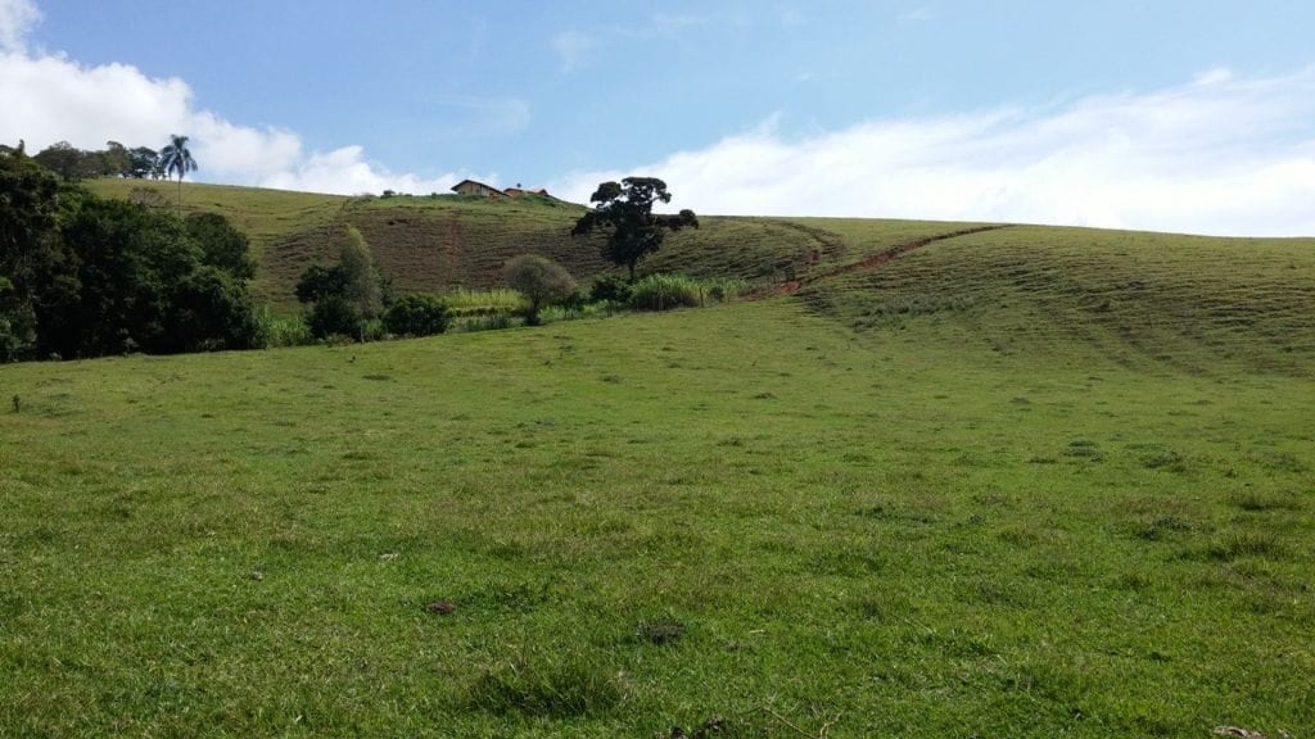 SITIO A VENDA DE 58.000 M2 A VENDA EM CAMBUI NO SUL DE MINAS (25)