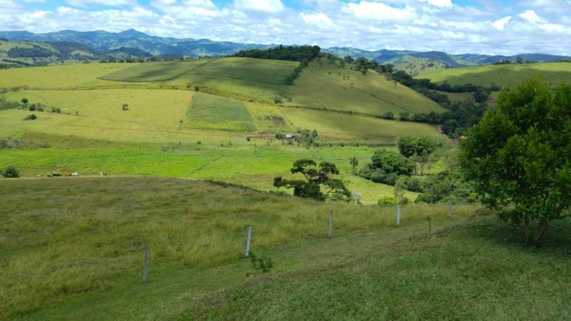 SITIO A VENDA DE 58.000 M2 A VENDA EM CAMBUI NO SUL DE MINAS (28)