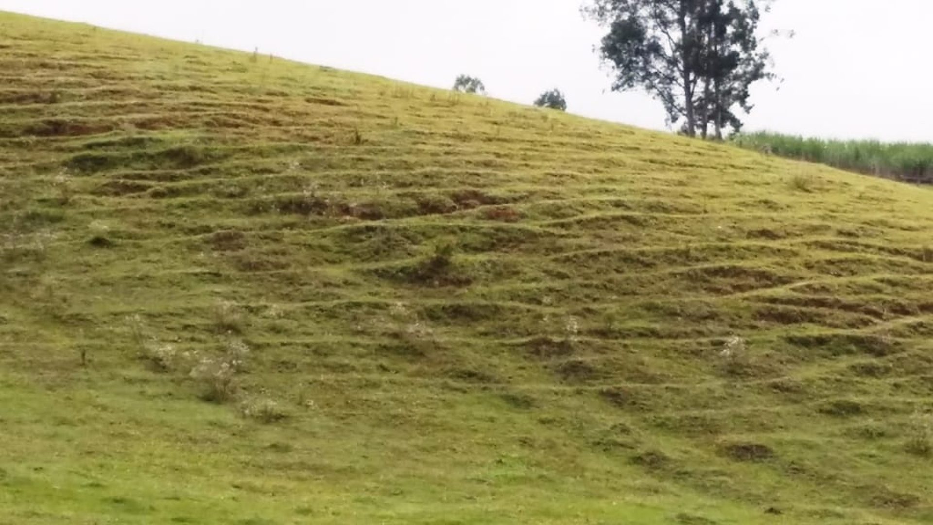 SITIO A VENDA DE 58.000 M2 A VENDA EM CAMBUI NO SUL DE MINAS (3)