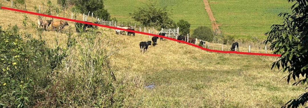 TERRENO DE 20.000M2 EM ZONA RURAL EM CAMBUI-MG (3)