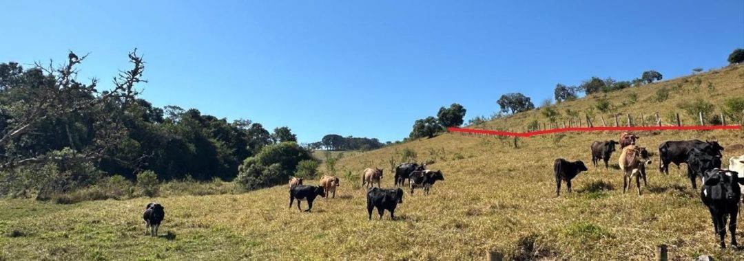 TERRENO DE 20.000M2 EM ZONA RURAL EM CAMBUI-MG (4)