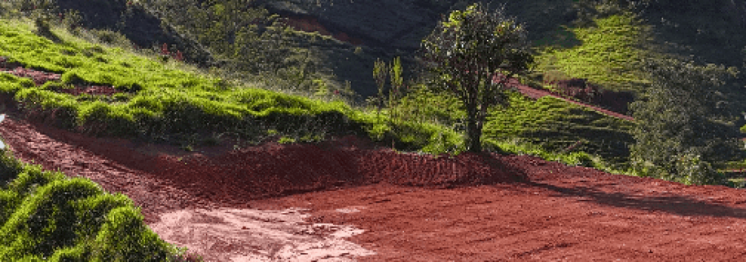 TERRENO RURAL A VENDA NA SERRA DA MANTIQUEIRA NO CAMINHO DA FE, CONSOLAÇÃO, SUL DE MINAS, SILVA CORRETOR (2)