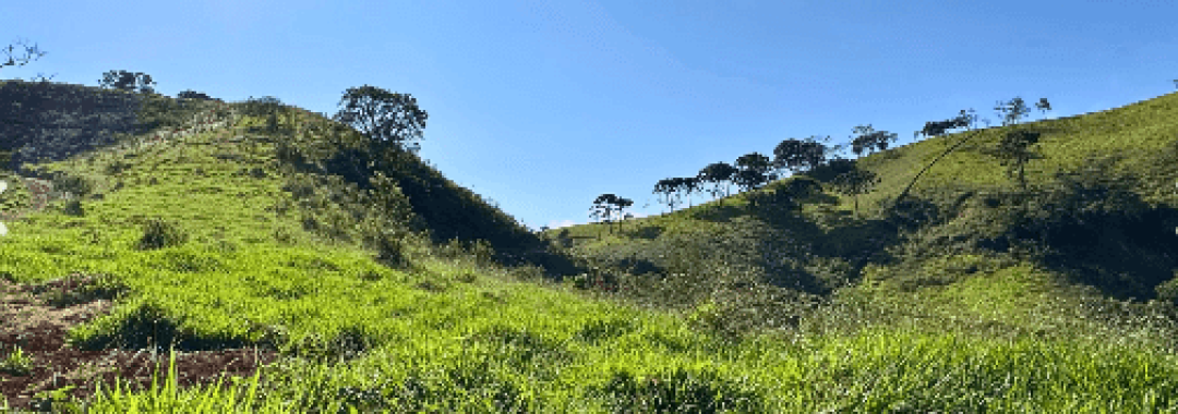 TERRENO RURAL A VENDA NA SERRA DA MANTIQUEIRA NO CAMINHO DA FE, CONSOLAÇÃO, SUL DE MINAS, SILVA CORRETOR (6)