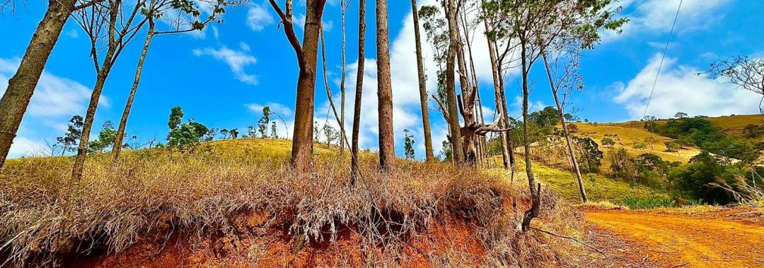 TERRENO RURAL DE 121.000M2 A VENDA NA CIDADE DE CAMBUI COM VISTA PANORAMICA (1)