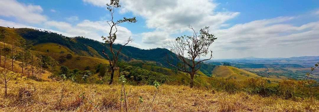 TERRENO RURAL DE 121.000M2 A VENDA NA CIDADE DE CAMBUI COM VISTA PANORAMICA (2)