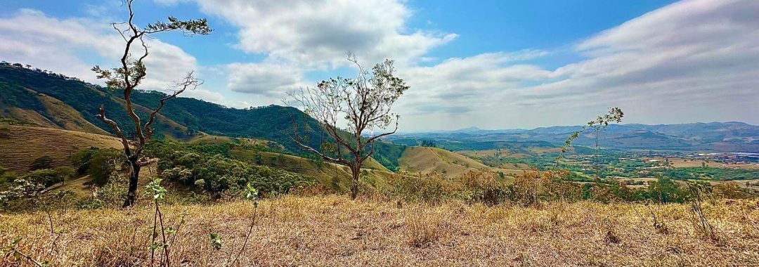 TERRENO RURAL DE 121.000M2 A VENDA NA CIDADE DE CAMBUI COM VISTA PANORAMICA (3)