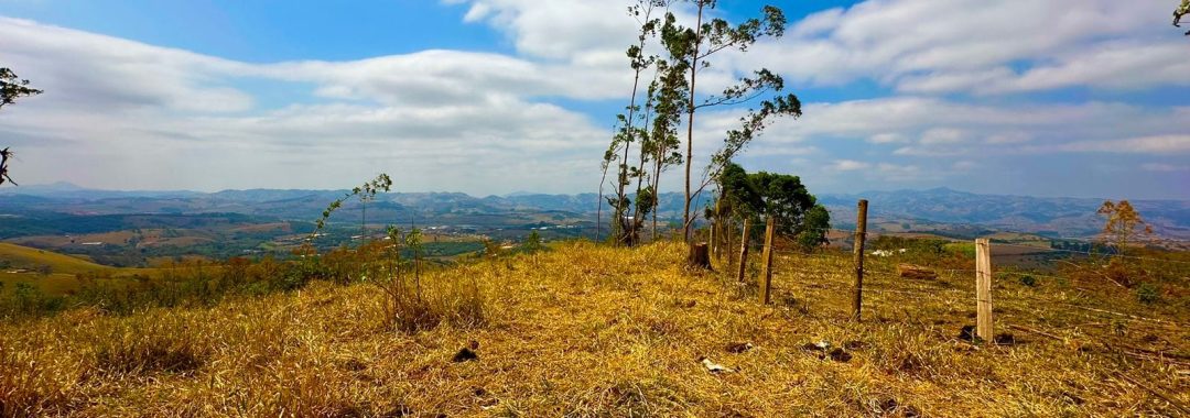 TERRENO RURAL DE 121.000M2 A VENDA NA CIDADE DE CAMBUI COM VISTA PANORAMICA (4)