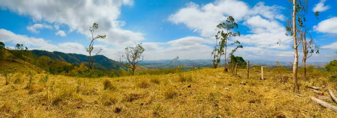 TERRENO RURAL DE 121.000M2 A VENDA NA CIDADE DE CAMBUI COM VISTA PANORAMICA (5)