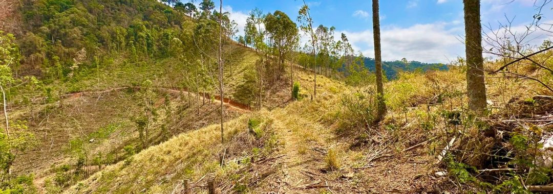 TERRENO RURAL DE 121.000M2 A VENDA NA CIDADE DE CAMBUI COM VISTA PANORAMICA (7)