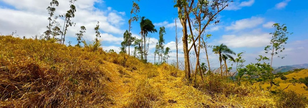 TERRENO RURAL DE 121.000M2 A VENDA NA CIDADE DE CAMBUI COM VISTA PANORAMICA (8)