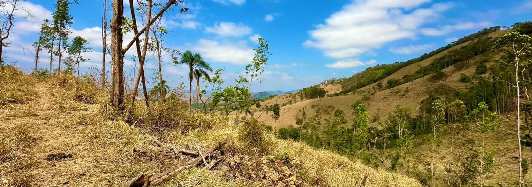 TERRENO RURAL DE 121.000M2 A VENDA NA CIDADE DE CAMBUI COM VISTA PANORAMICA (9)