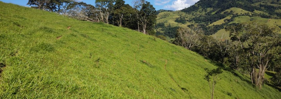 TERRENO RURAL DE 200.000 m² À VENDA EM CAMBUÍ NO SUL DE MINAS, TERRENO PARA VENDA EM CAMBUI, TERRENO PARA VENDER EM CAMBUI, TERRENO RURAL A VENDA NO SUL DE MINAS (10)