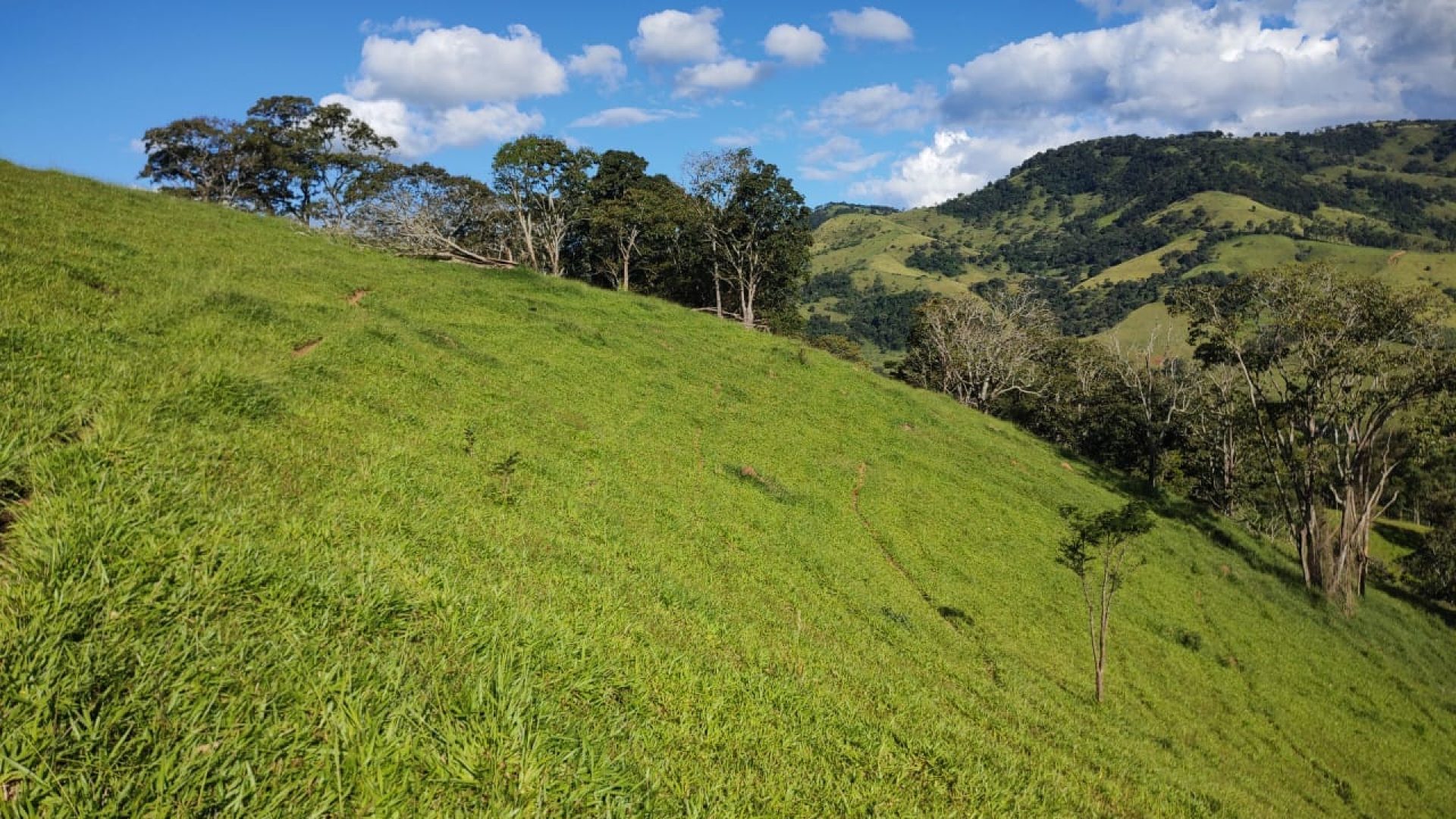 TERRENO RURAL DE 200.000 m² À VENDA EM CAMBUÍ NO SUL DE MINAS, TERRENO PARA VENDA EM CAMBUI, TERRENO PARA VENDER EM CAMBUI, TERRENO RURAL A VENDA NO SUL DE MINAS (10)