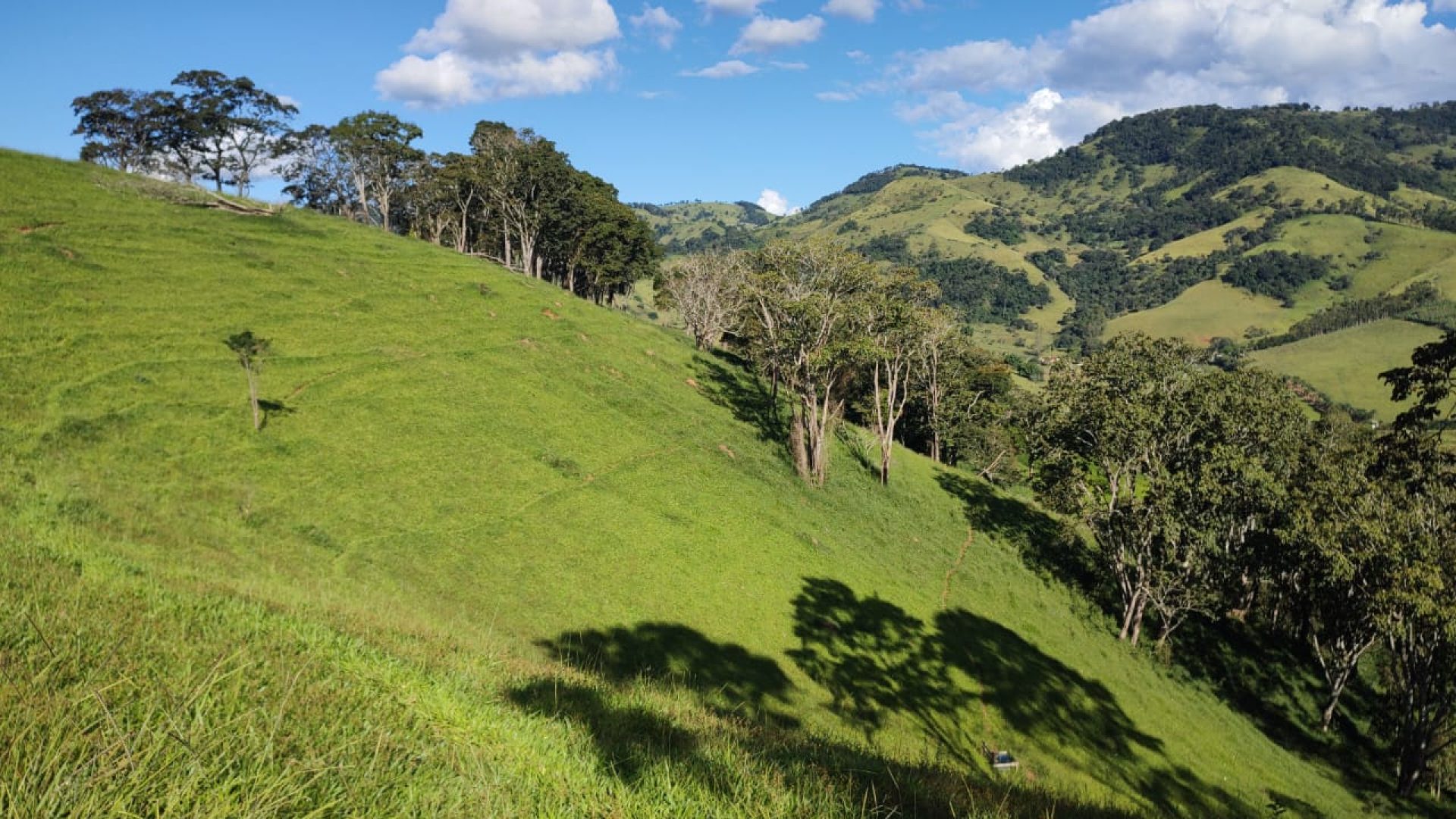 TERRENO RURAL DE 200.000 m² À VENDA EM CAMBUÍ NO SUL DE MINAS, TERRENO PARA VENDA EM CAMBUI, TERRENO PARA VENDER EM CAMBUI, TERRENO RURAL A VENDA NO SUL DE MINAS (12)