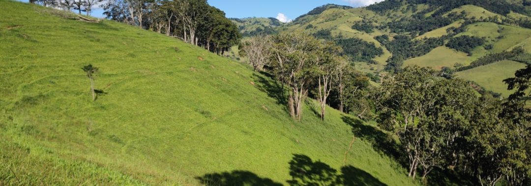 TERRENO RURAL DE 200.000 m² À VENDA EM CAMBUÍ NO SUL DE MINAS, TERRENO PARA VENDA EM CAMBUI, TERRENO PARA VENDER EM CAMBUI, TERRENO RURAL A VENDA NO SUL DE MINAS (12)