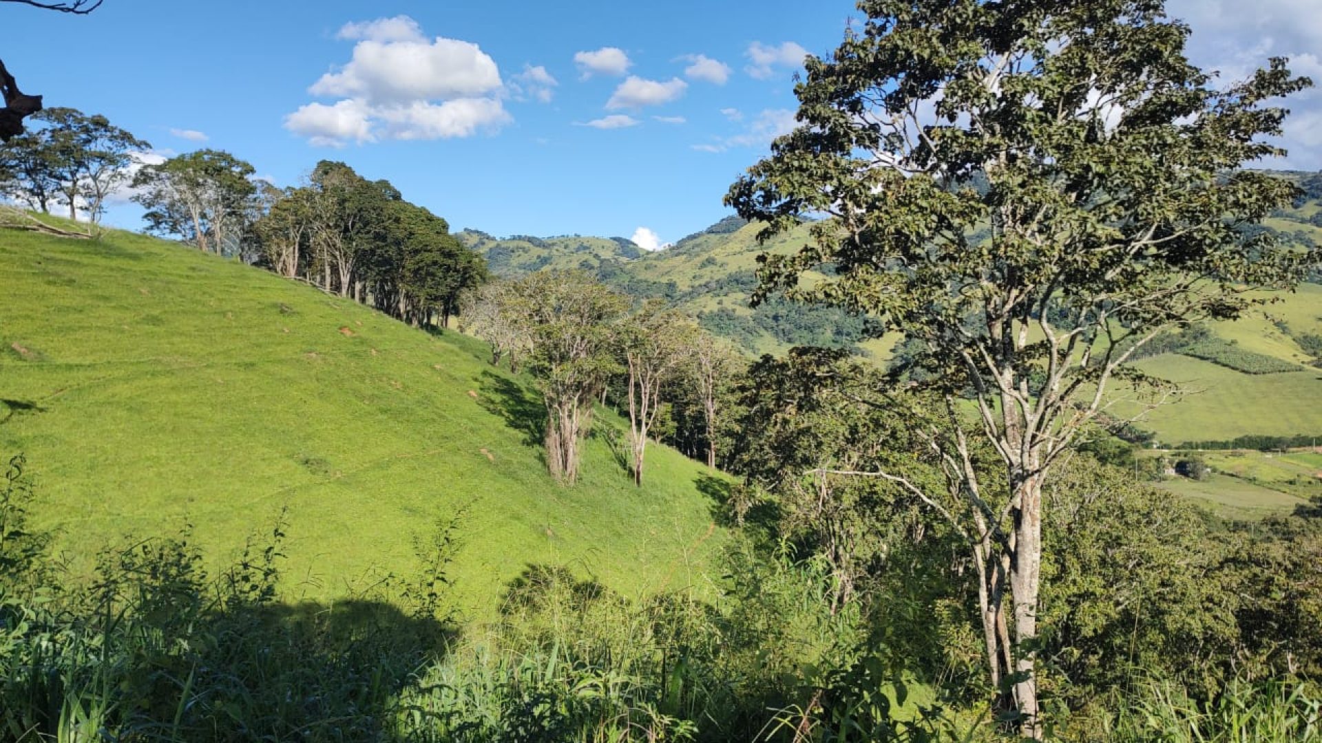 TERRENO RURAL DE 200.000 m² À VENDA EM CAMBUÍ NO SUL DE MINAS, TERRENO PARA VENDA EM CAMBUI, TERRENO PARA VENDER EM CAMBUI, TERRENO RURAL A VENDA NO SUL DE MINAS (13)