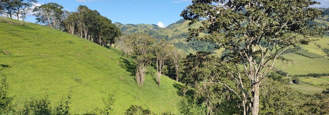 TERRENO RURAL DE 200.000 m² À VENDA EM CAMBUÍ NO SUL DE MINAS, TERRENO PARA VENDA EM CAMBUI, TERRENO PARA VENDER EM CAMBUI, TERRENO RURAL A VENDA NO SUL DE MINAS (13)