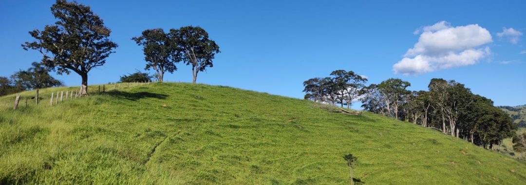 TERRENO RURAL DE 200.000 m² À VENDA EM CAMBUÍ NO SUL DE MINAS, TERRENO PARA VENDA EM CAMBUI, TERRENO PARA VENDER EM CAMBUI, TERRENO RURAL A VENDA NO SUL DE MINAS (14)