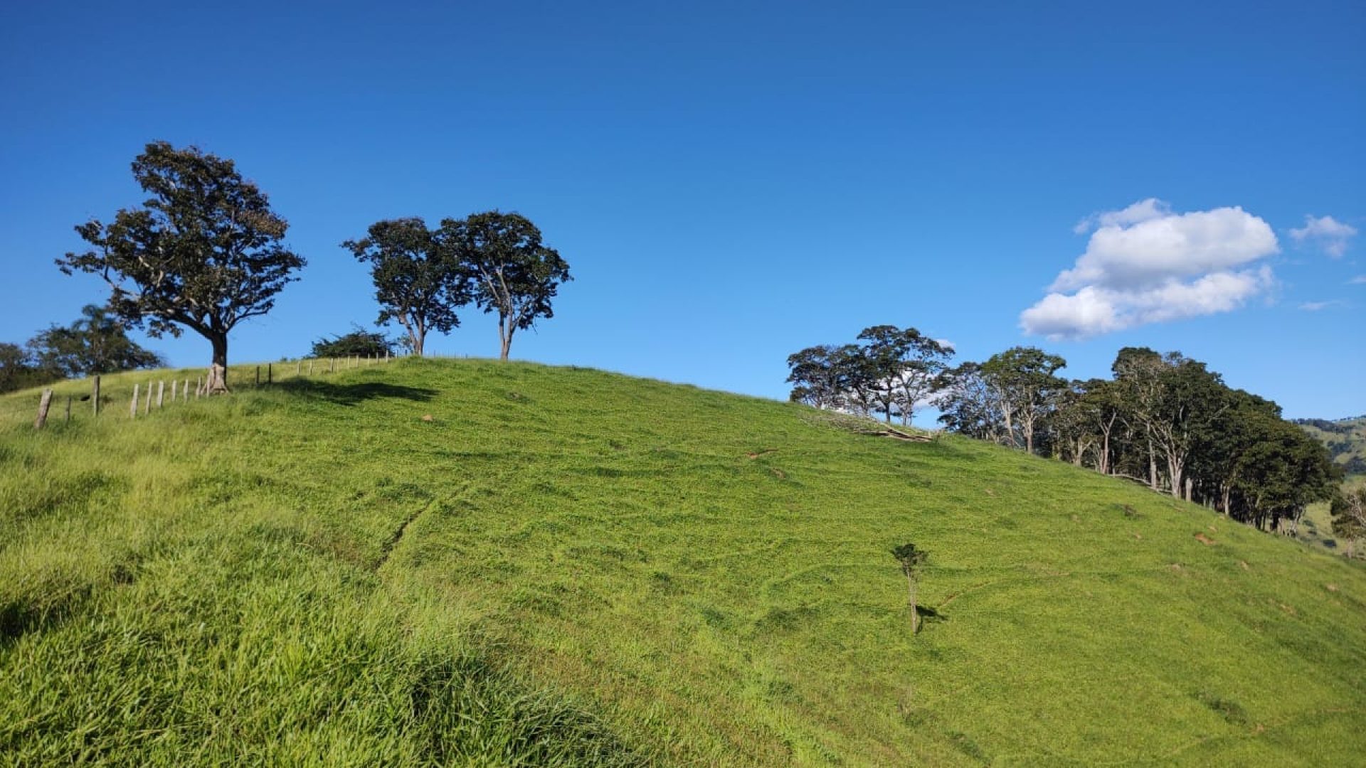 TERRENO RURAL DE 200.000 m² À VENDA EM CAMBUÍ NO SUL DE MINAS, TERRENO PARA VENDA EM CAMBUI, TERRENO PARA VENDER EM CAMBUI, TERRENO RURAL A VENDA NO SUL DE MINAS (14)