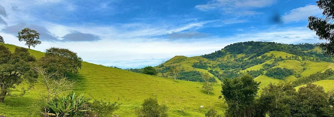 TERRENO RURAL DE 200.000 m² À VENDA EM CAMBUÍ NO SUL DE MINAS, TERRENO PARA VENDA EM CAMBUI, TERRENO PARA VENDER EM CAMBUI, TERRENO RURAL A VENDA NO SUL DE MINAS (15)