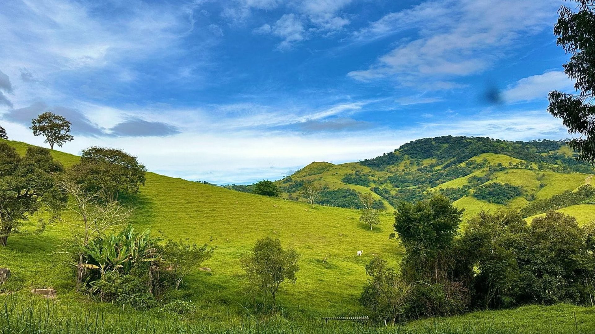 TERRENO RURAL DE 200.000 m² À VENDA EM CAMBUÍ NO SUL DE MINAS, TERRENO PARA VENDA EM CAMBUI, TERRENO PARA VENDER EM CAMBUI, TERRENO RURAL A VENDA NO SUL DE MINAS (15)