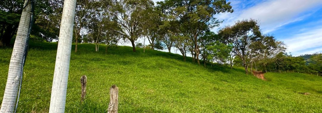 TERRENO RURAL DE 200.000 m² À VENDA EM CAMBUÍ NO SUL DE MINAS, TERRENO PARA VENDA EM CAMBUI, TERRENO PARA VENDER EM CAMBUI, TERRENO RURAL A VENDA NO SUL DE MINAS (17)