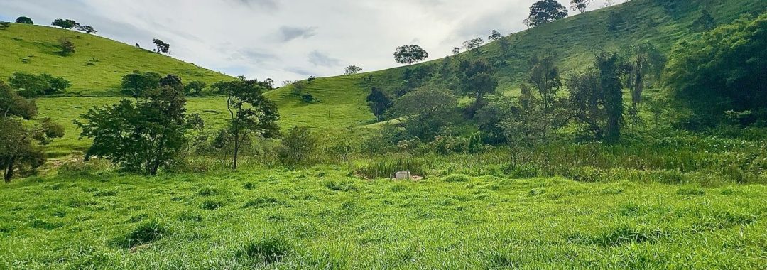 TERRENO RURAL DE 200.000 m² À VENDA EM CAMBUÍ NO SUL DE MINAS, TERRENO PARA VENDA EM CAMBUI, TERRENO PARA VENDER EM CAMBUI, TERRENO RURAL A VENDA NO SUL DE MINAS (18)